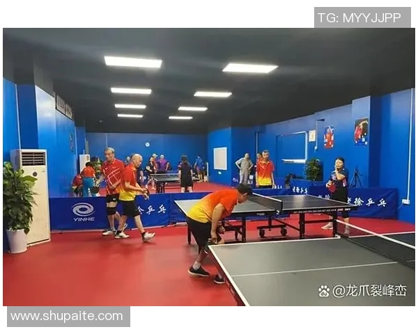 广州乒乓球队区域防守策略解析与战术应用探讨